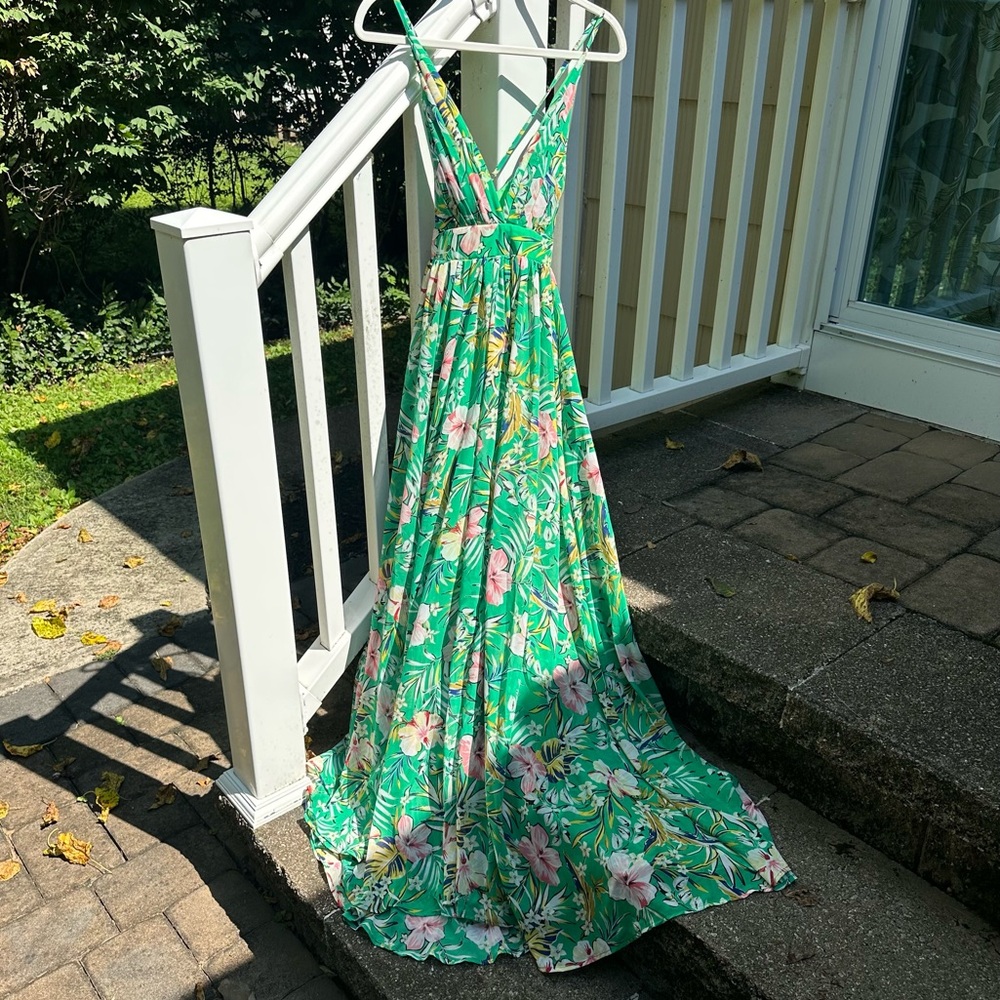 NWT Meghan LA Enchanted Garden Maxi Dress - Picture 6 of 12